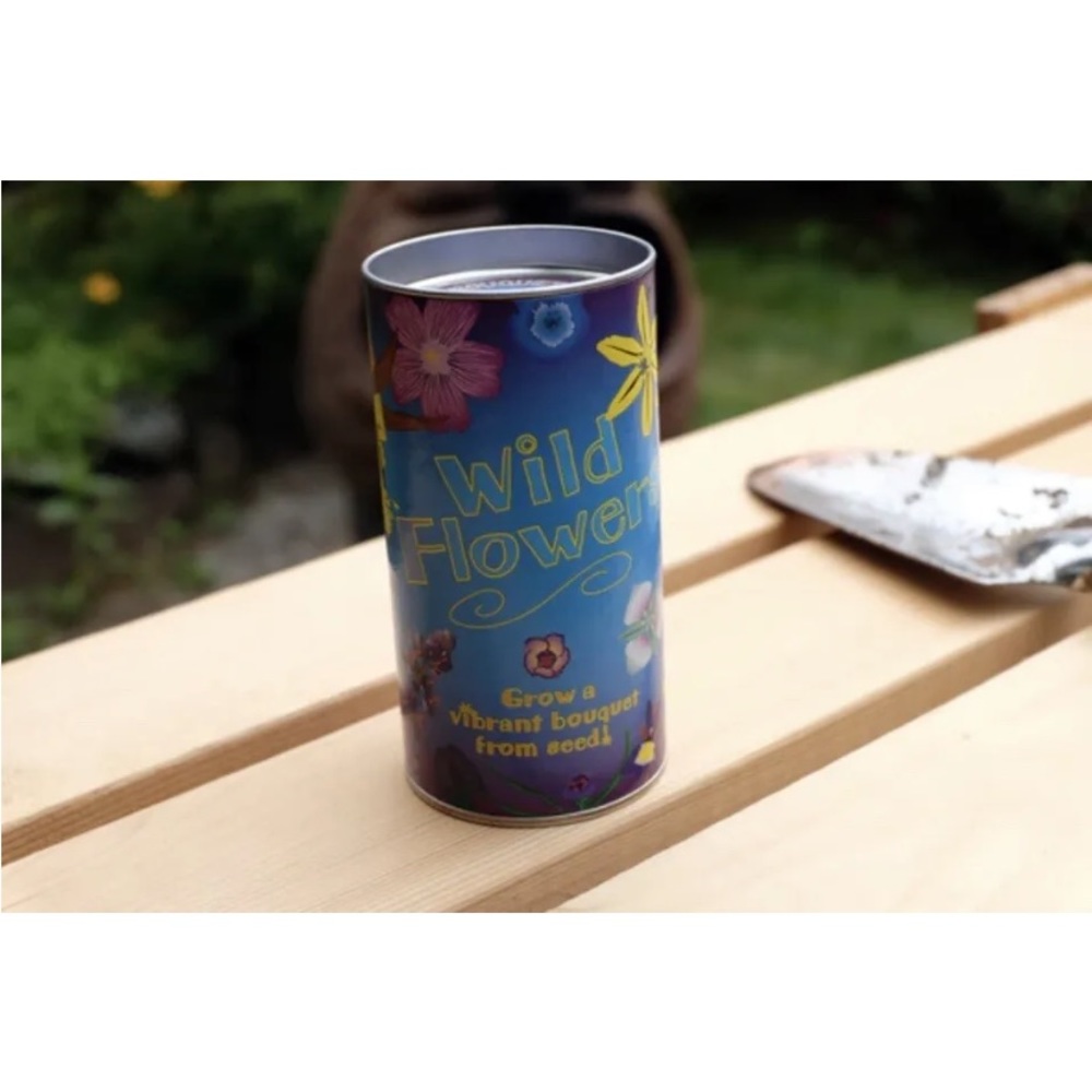 2 Pack - Wildflower Mix | Seed Grow Kit | The Jonsteen Company NEW - Picture 5 of 10